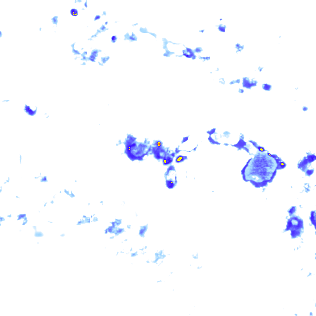 Image Layer