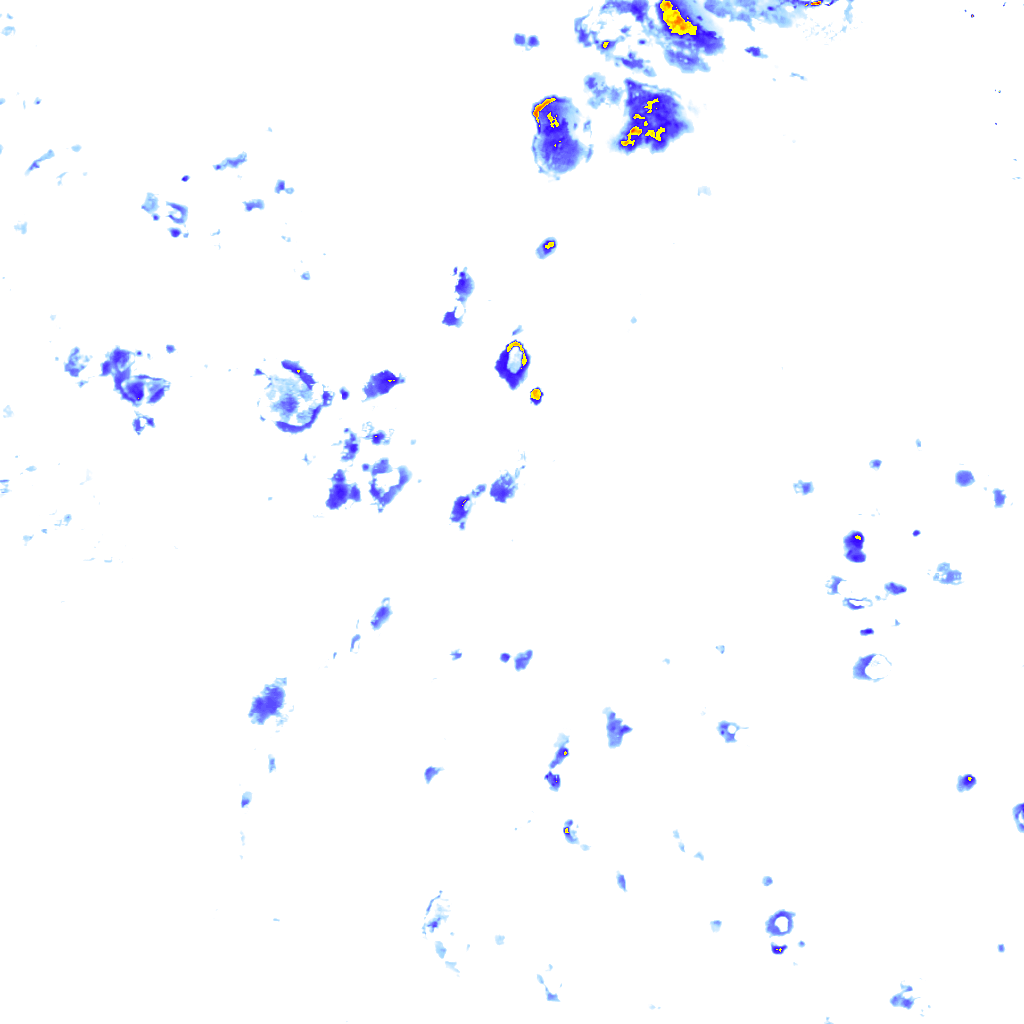 rainLayer