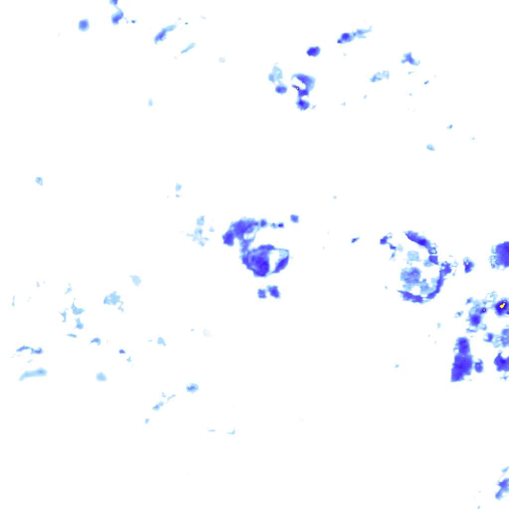 Image Layer