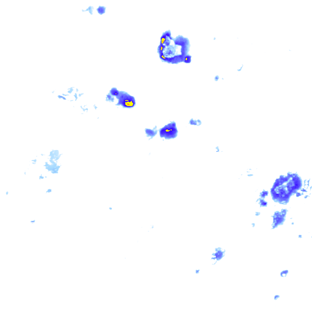 rainLayer
