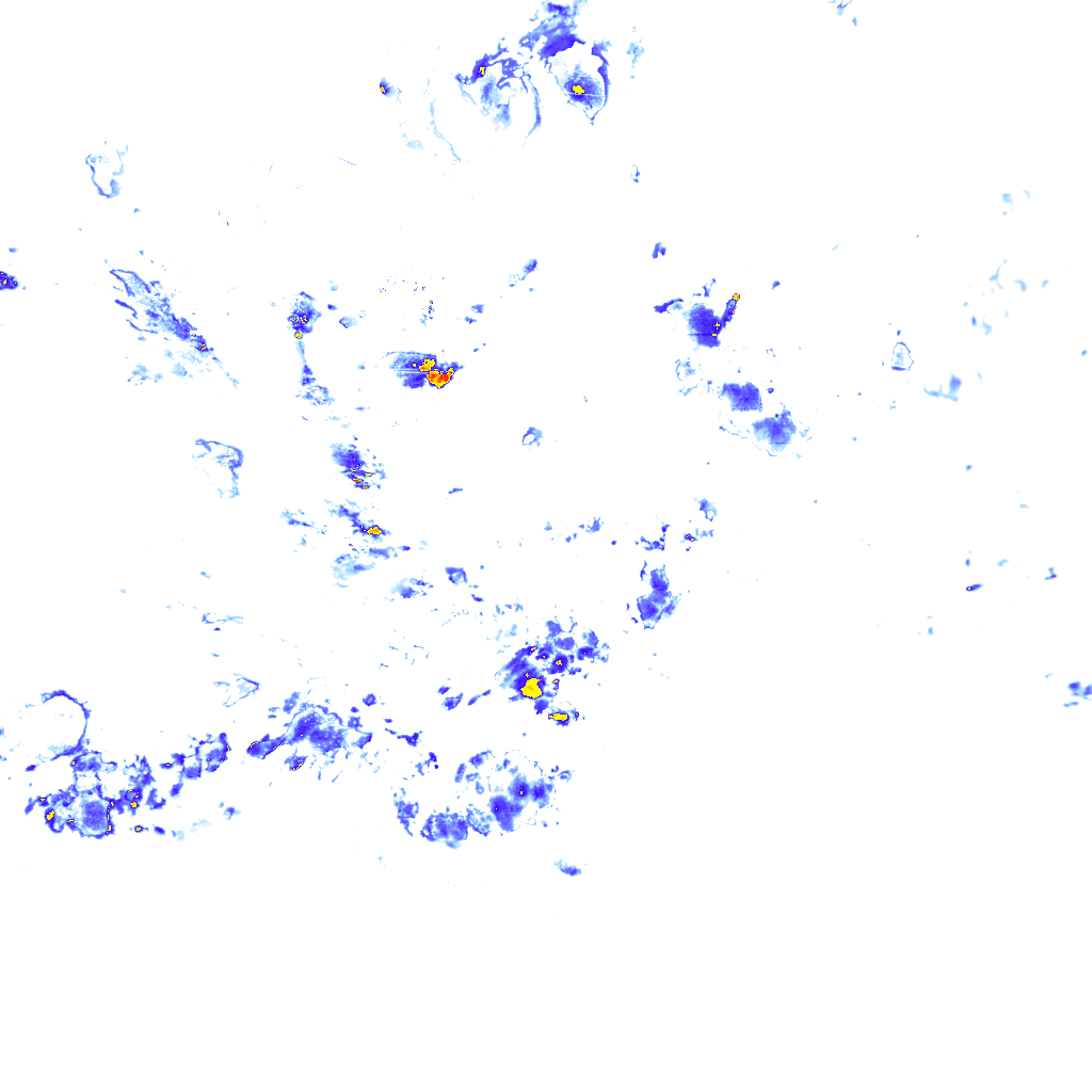 rainLayer