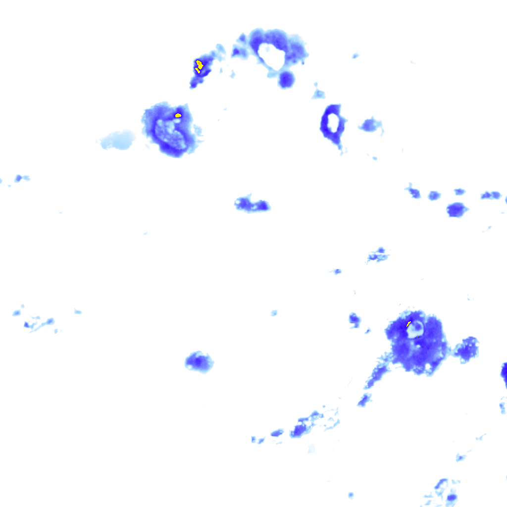 Image Layer