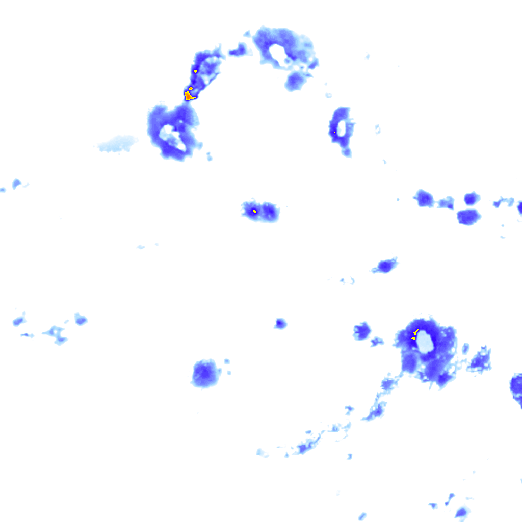 Image Layer
