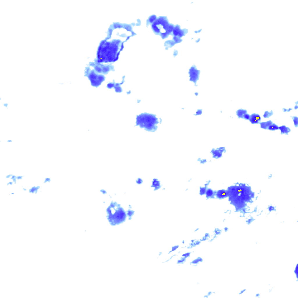Image Layer