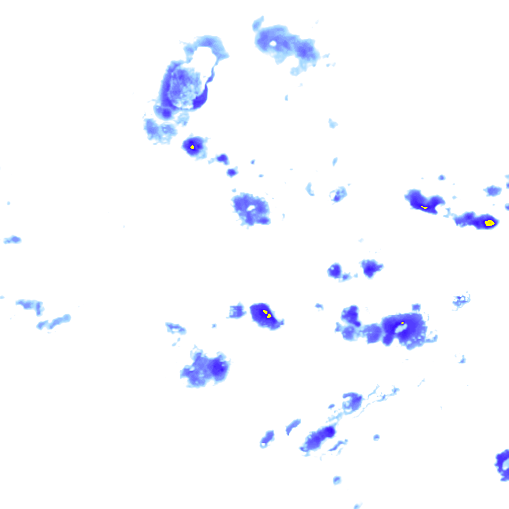 Image Layer