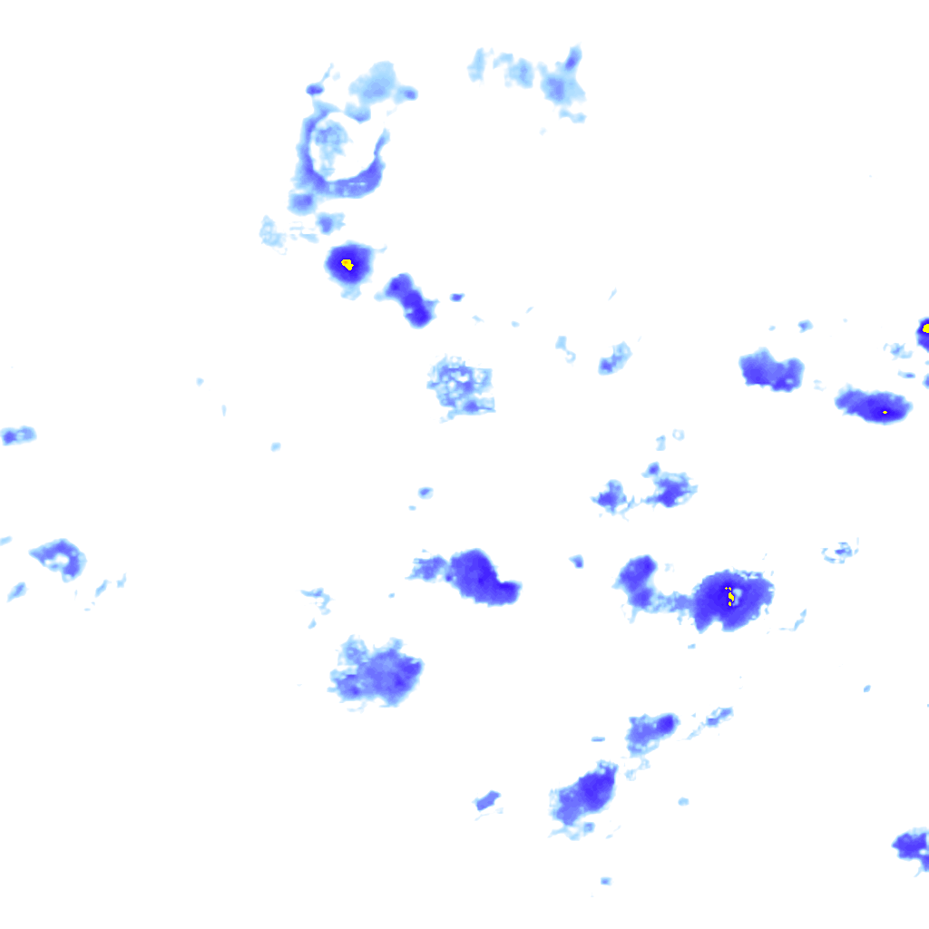 Image Layer