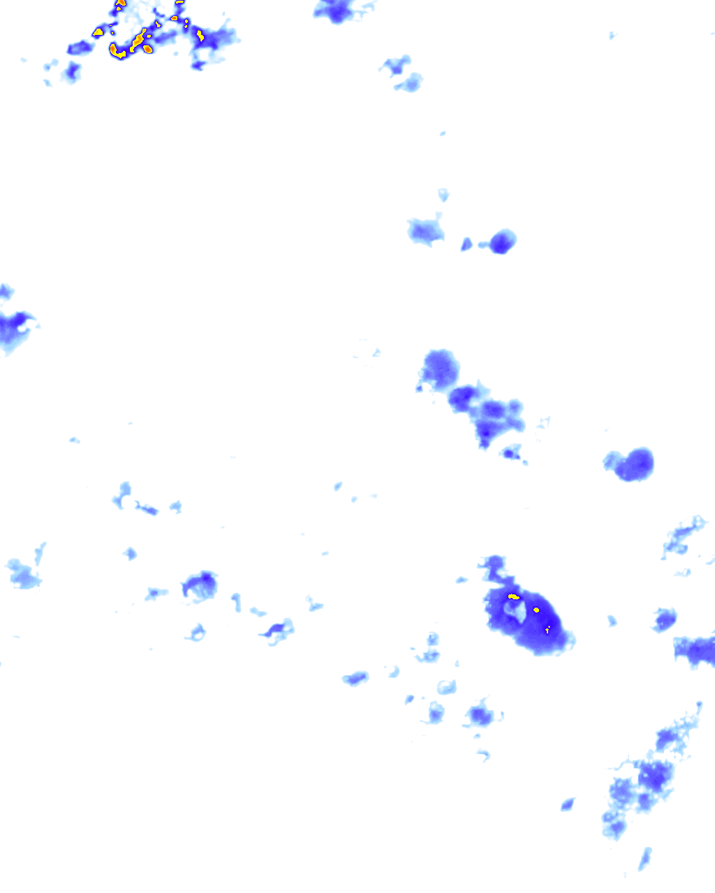 rainLayer