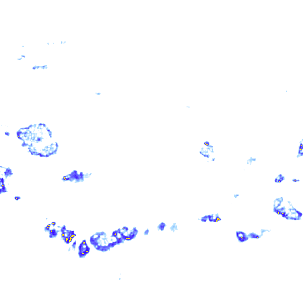 rainLayer