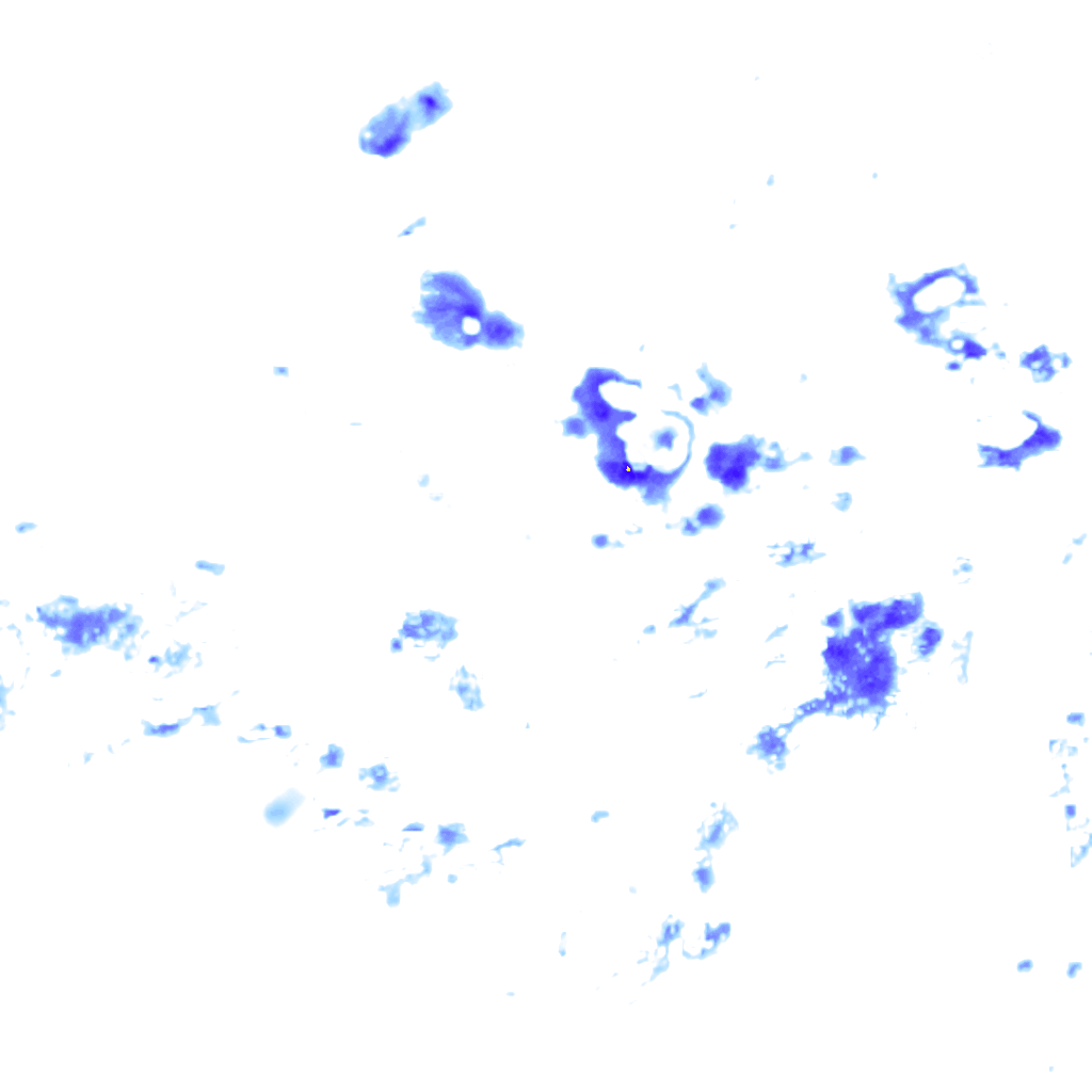 rainLayer