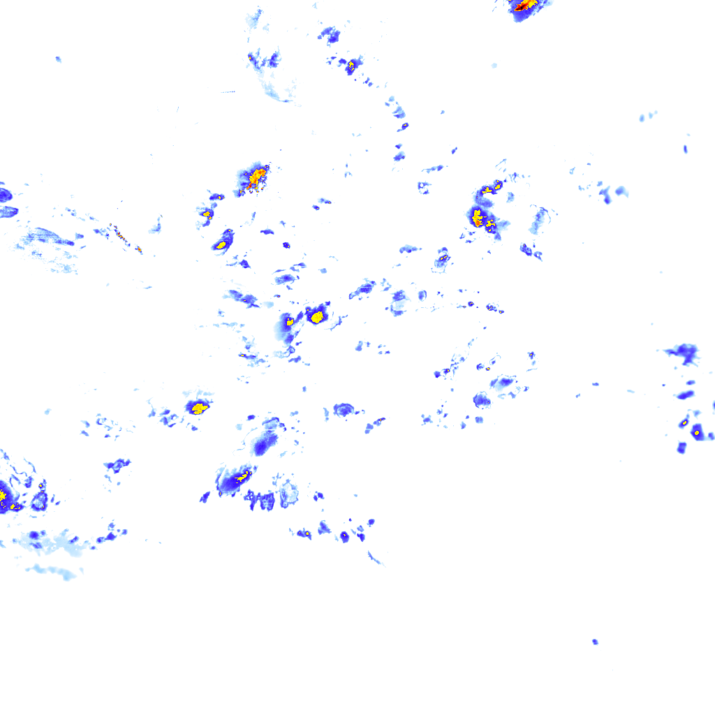 rainLayer