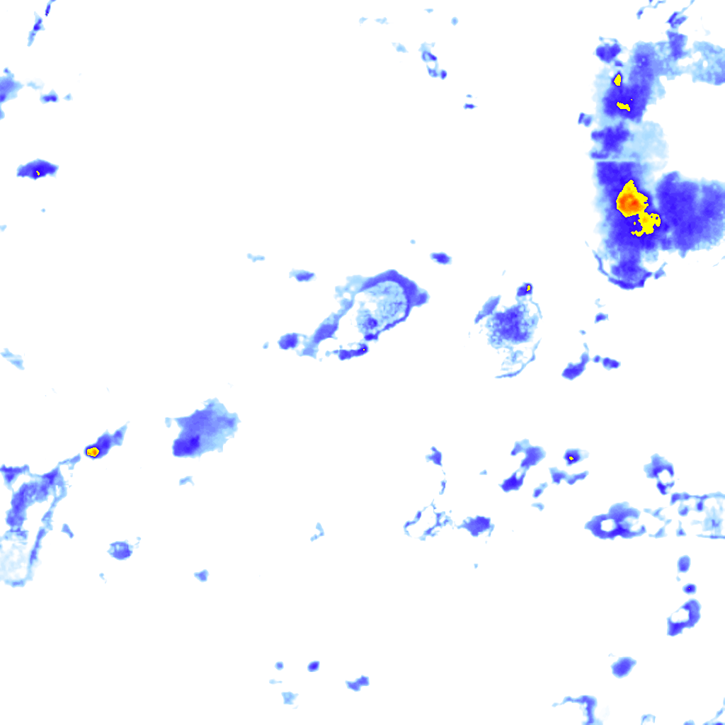 Image Layer