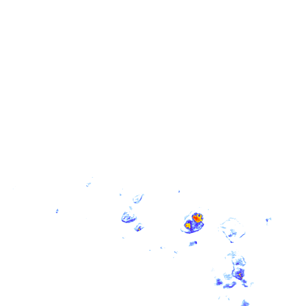 rainLayer