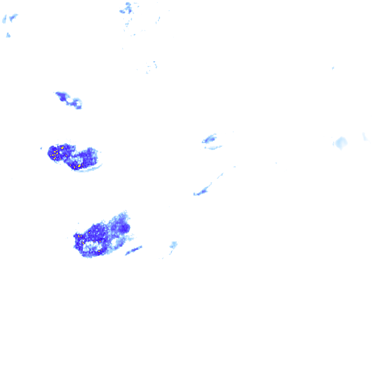 rainLayer