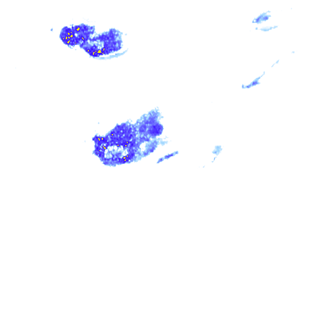 rainLayer