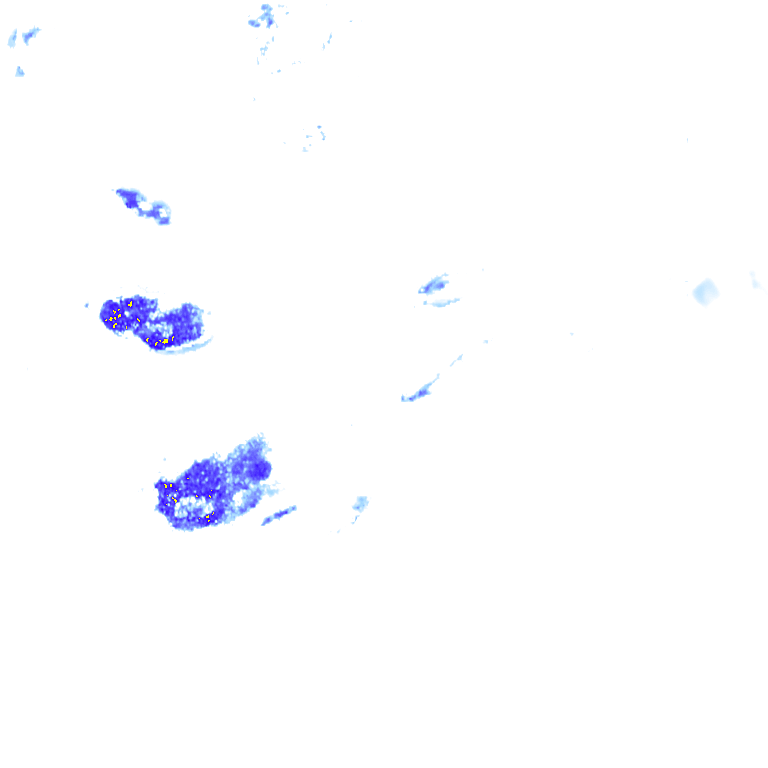 rainLayer