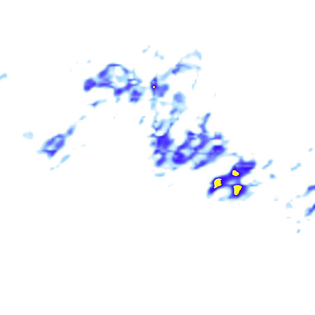 rainLayer