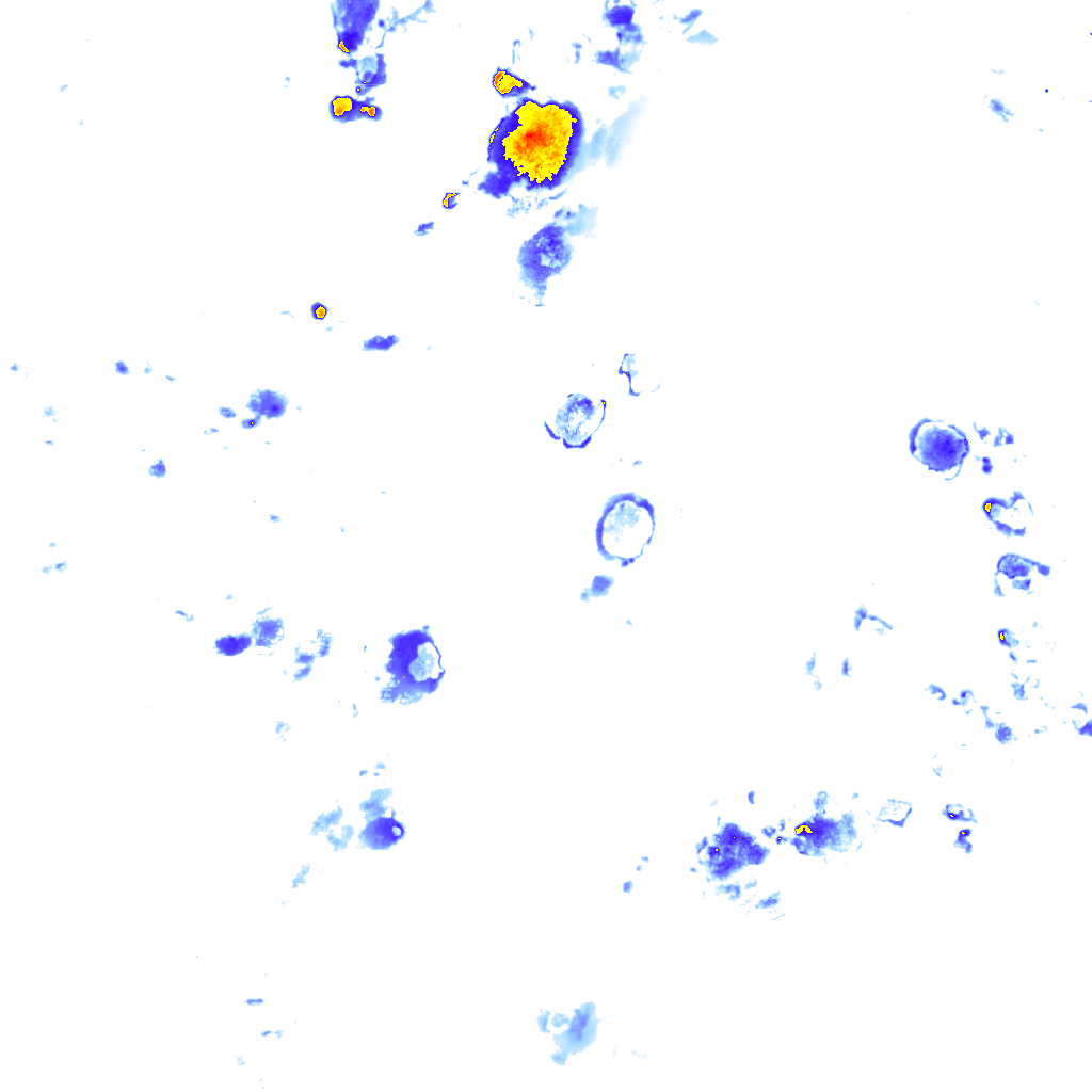 rainLayer
