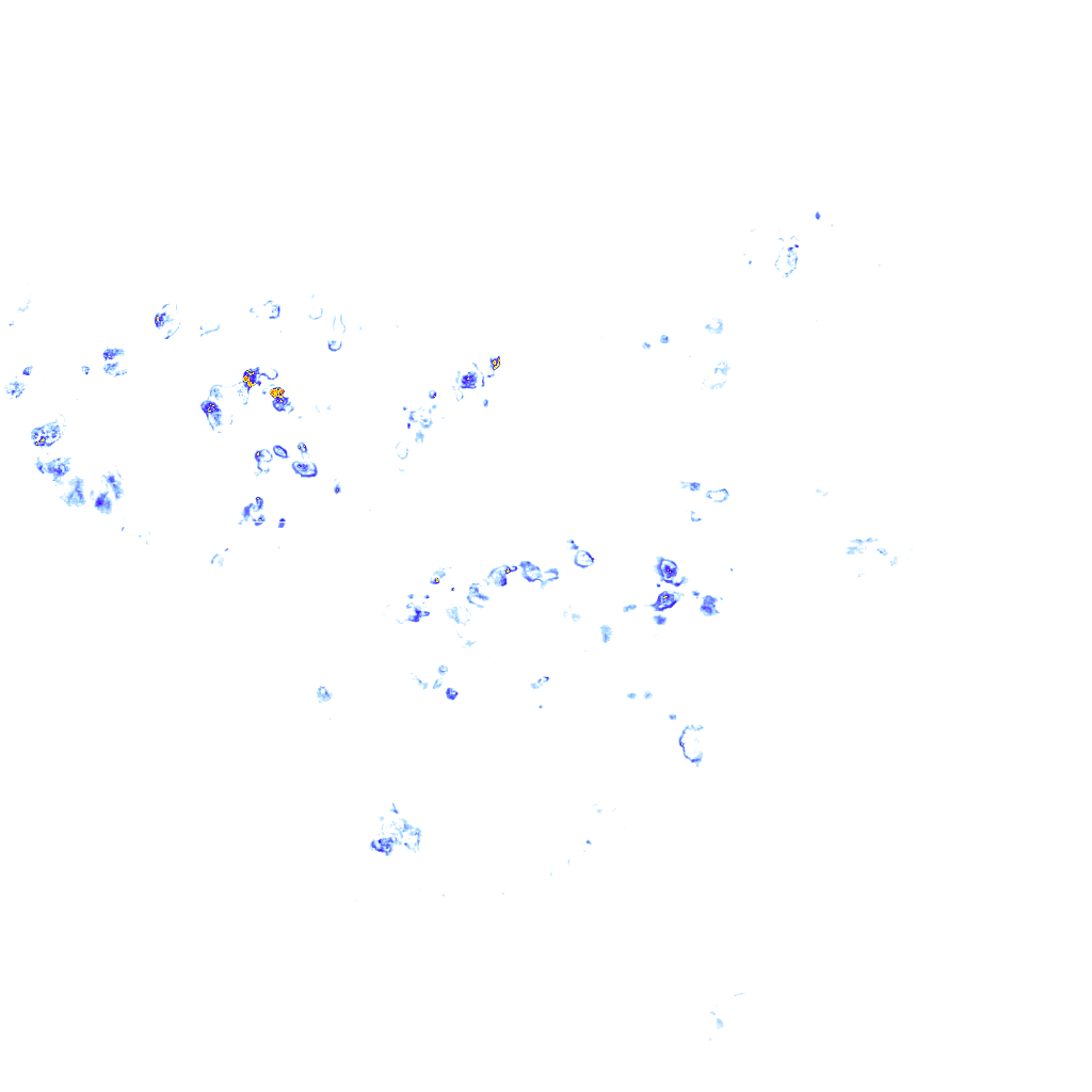 rainLayer