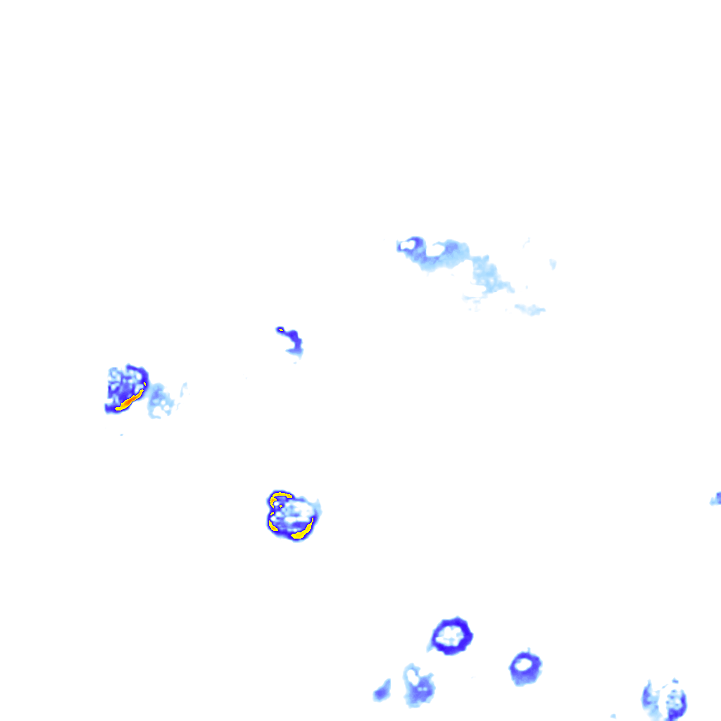 Image Layer