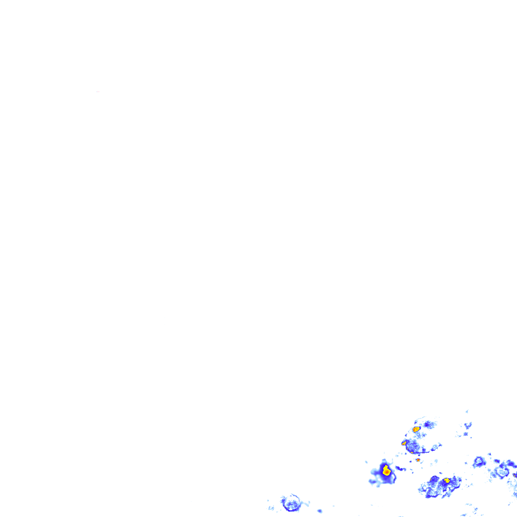 rainLayer
