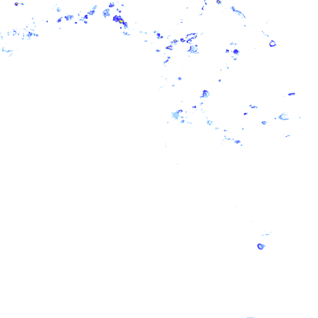 rainLayer
