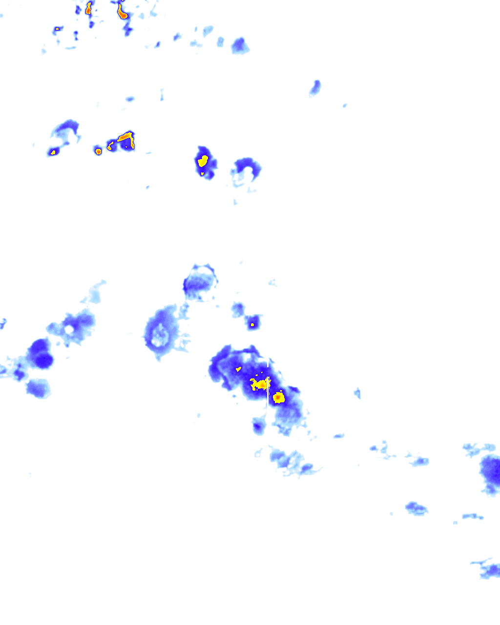 rainLayer