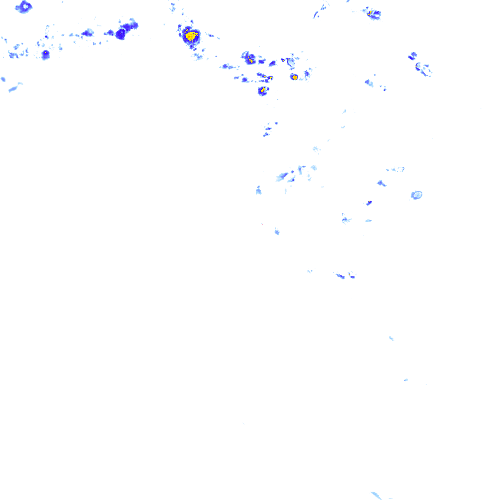 rainLayer