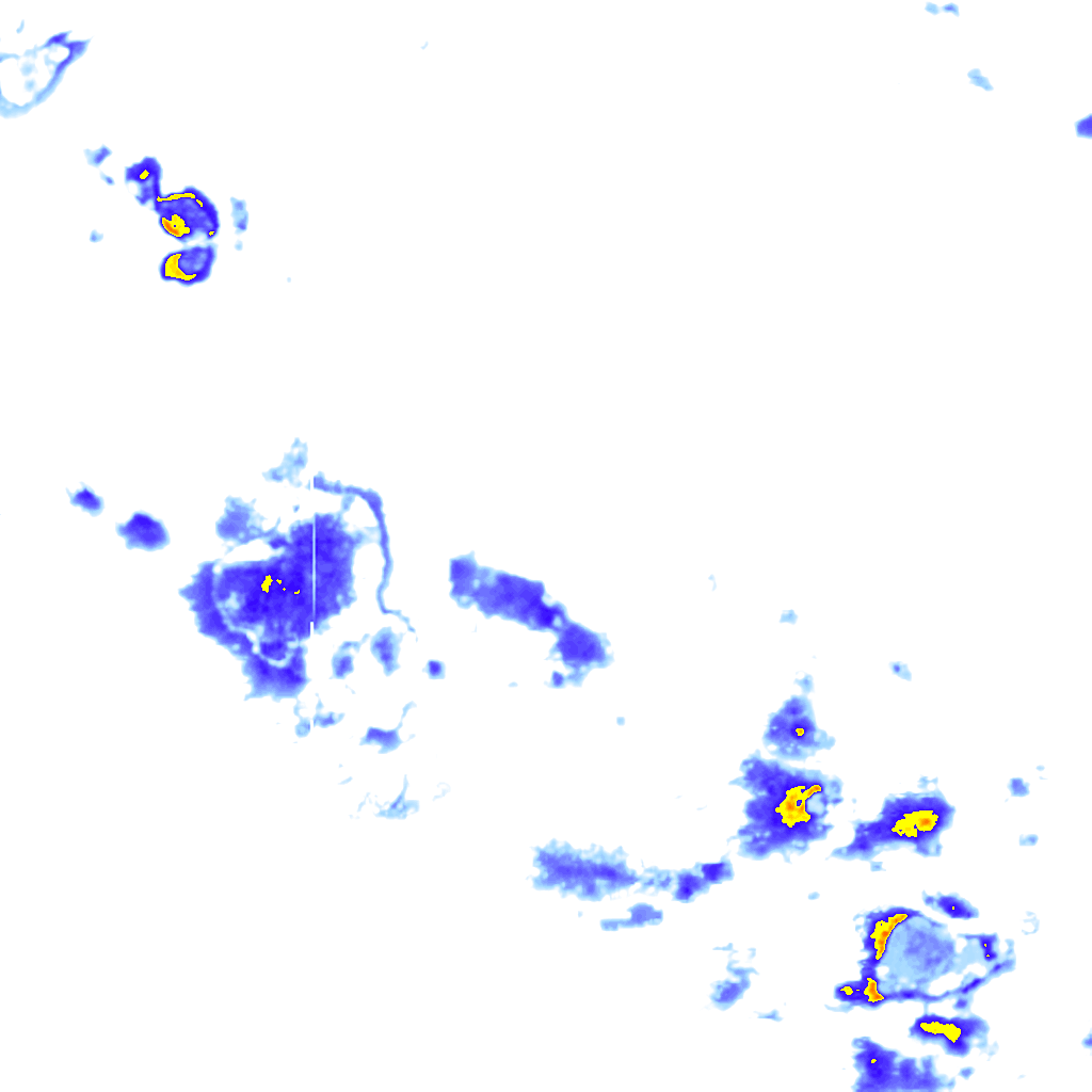 rainLayer