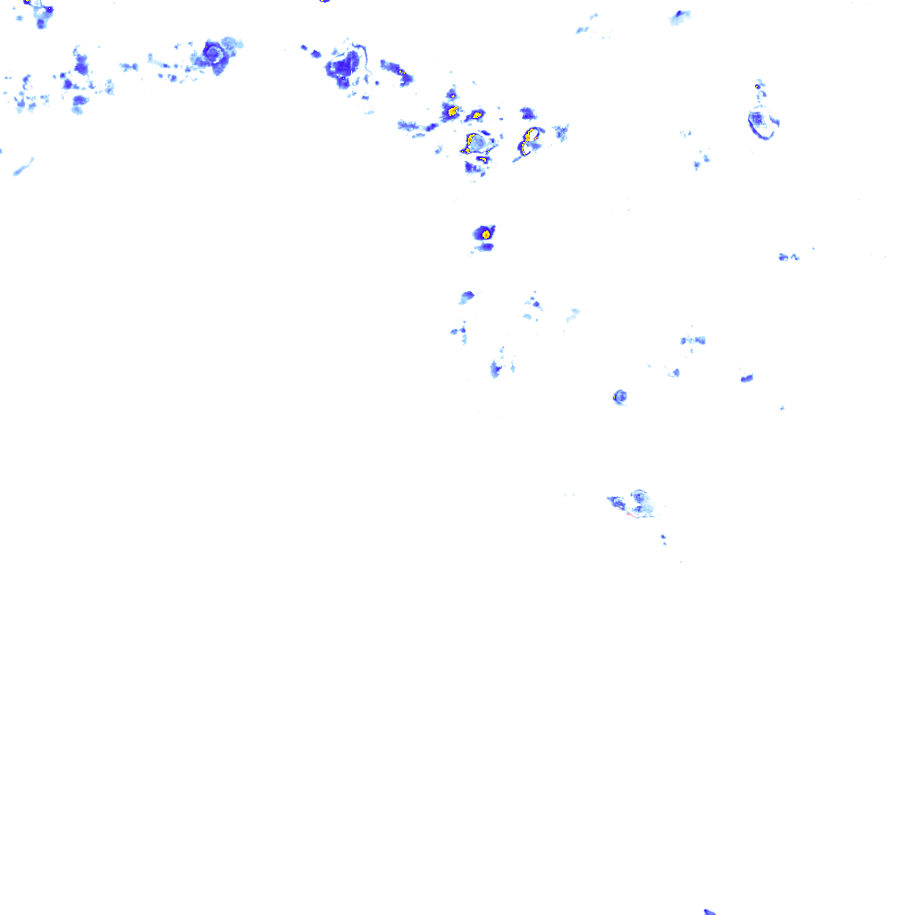 rainLayer