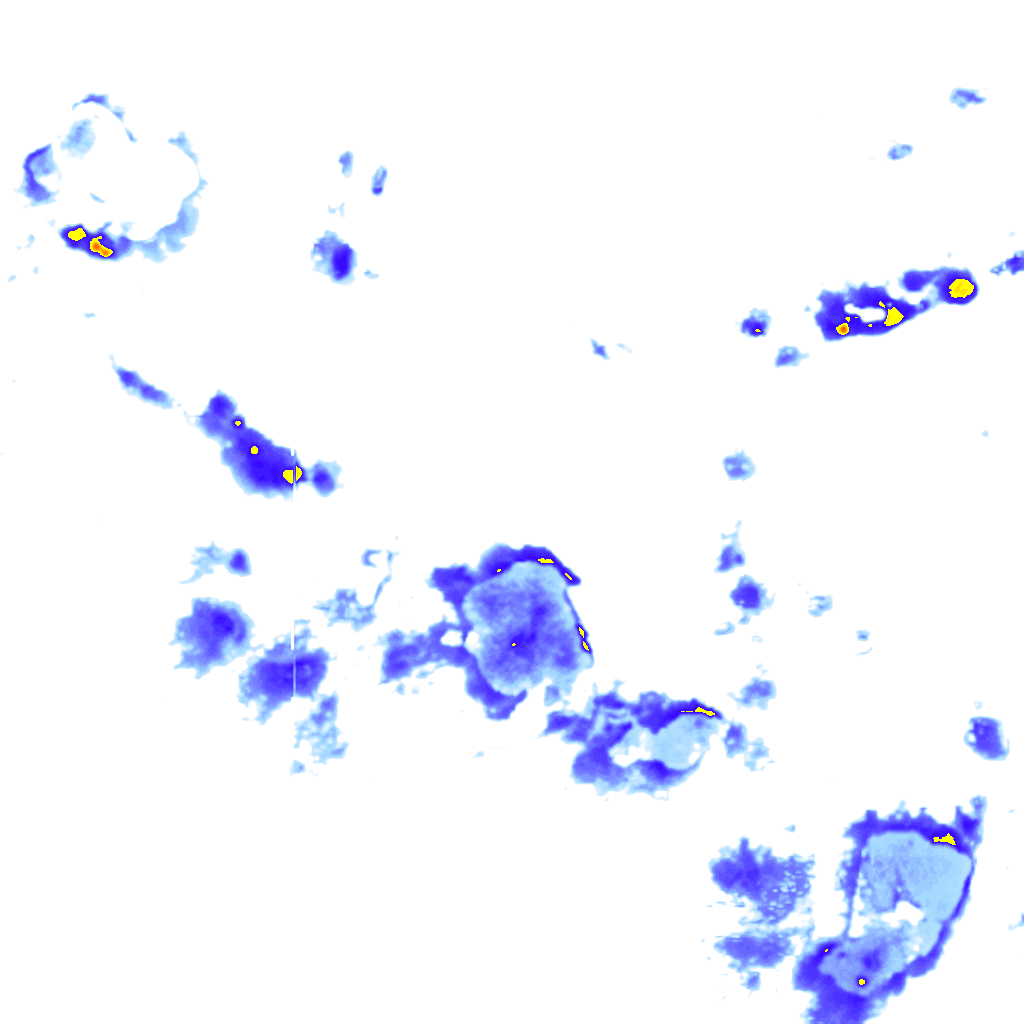rainLayer