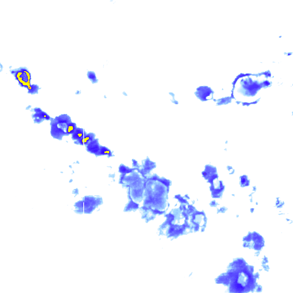 Image Layer