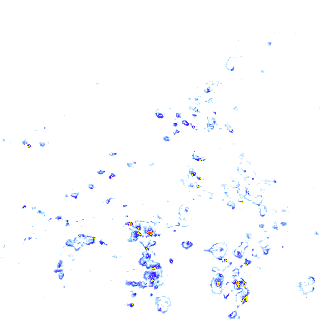 rainLayer