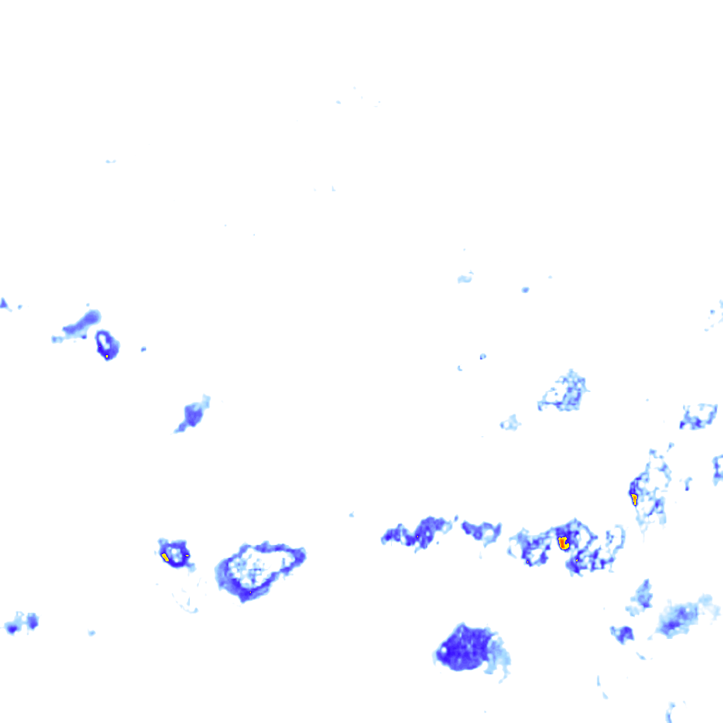 Image Layer