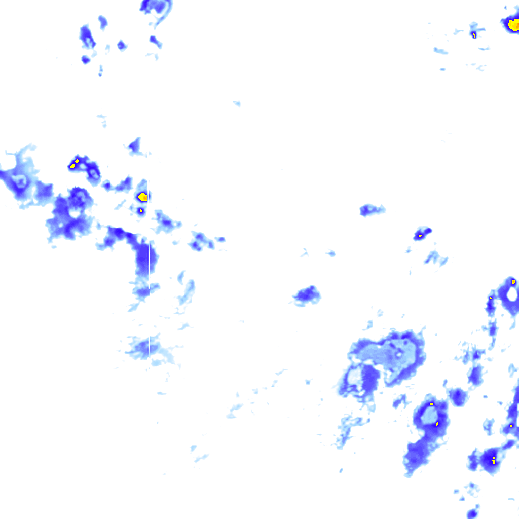 rainLayer