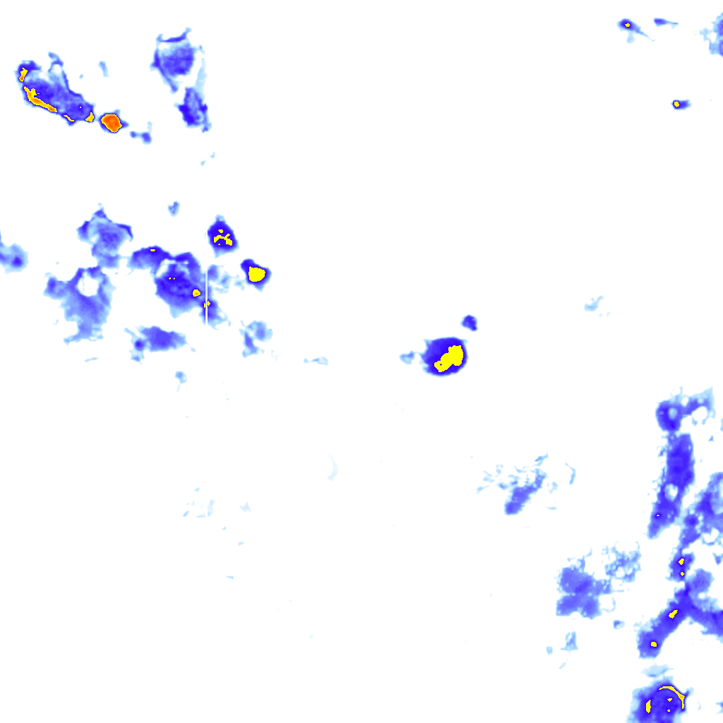 Image Layer