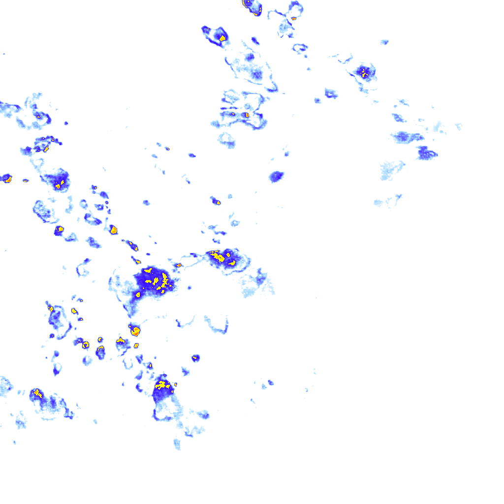 rainLayer