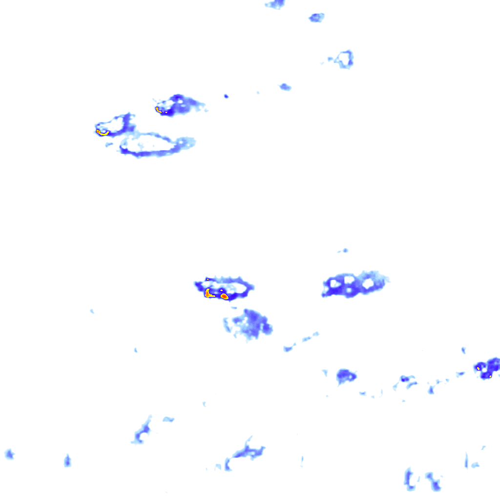 rainLayer