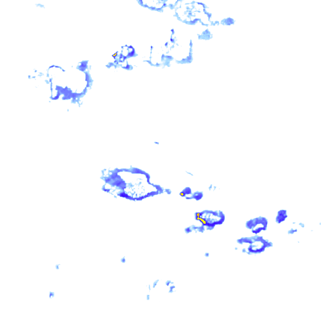 Image Layer