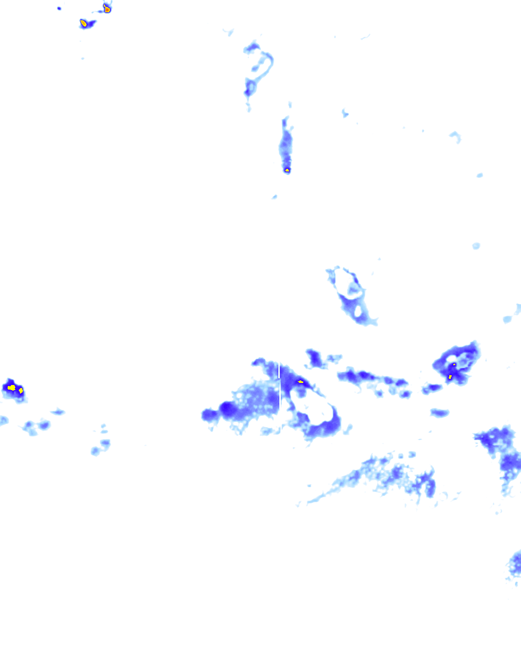 rainLayer