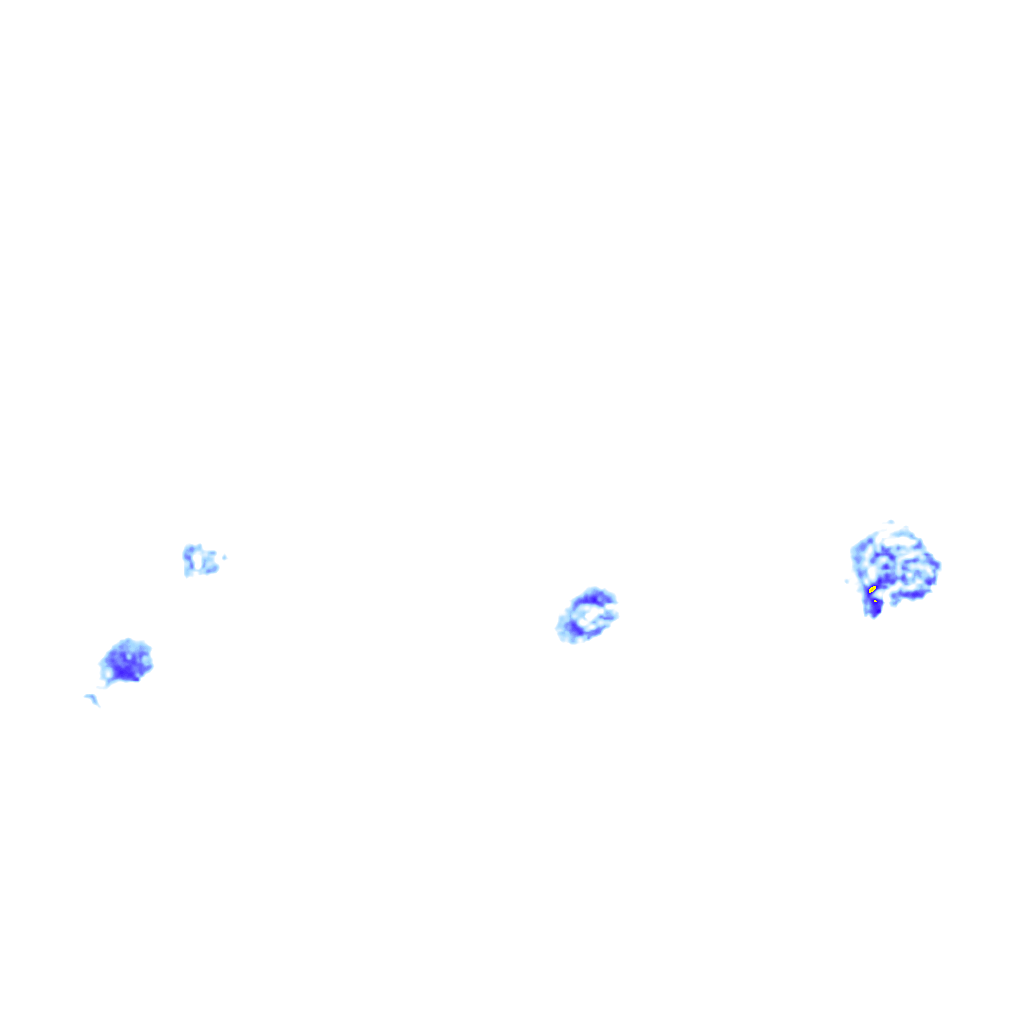 rainLayer