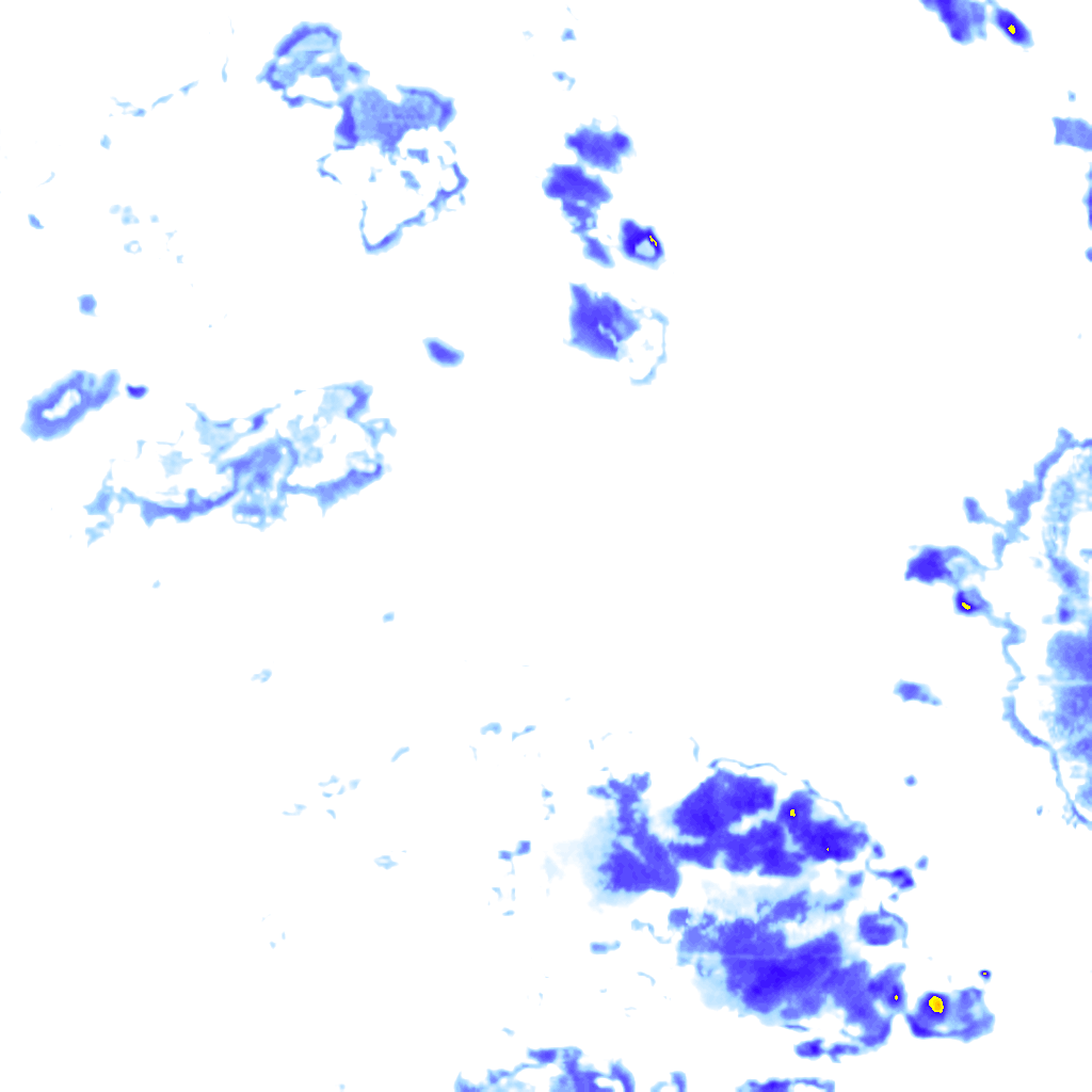rainLayer