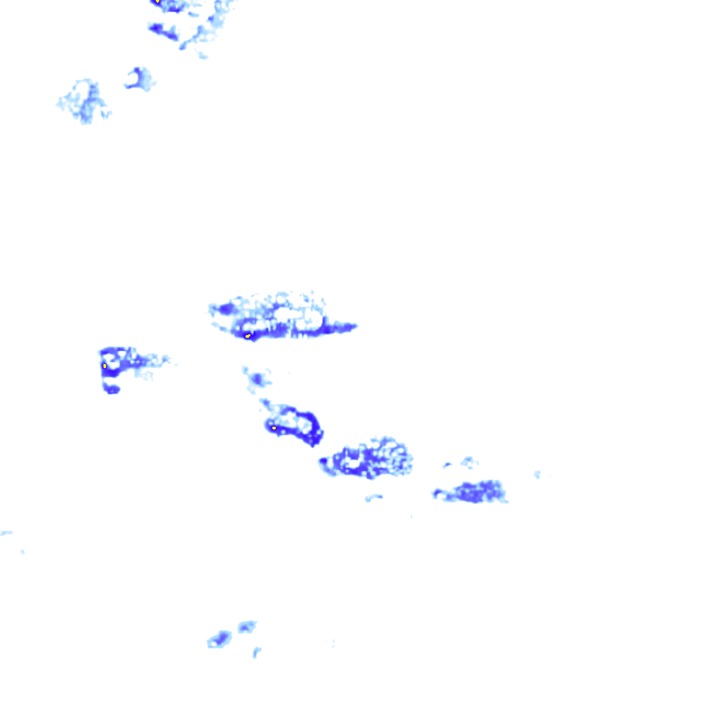 rainLayer