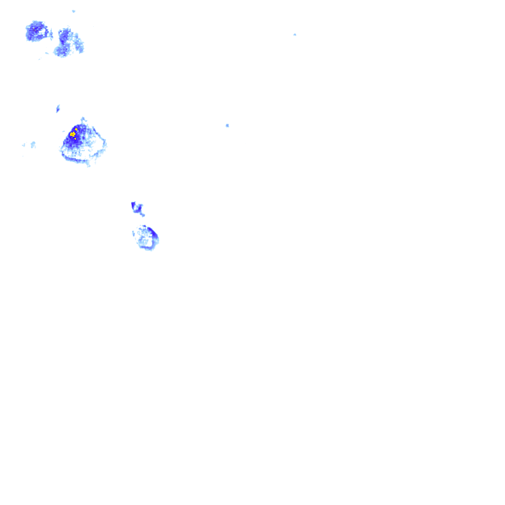 rainLayer
