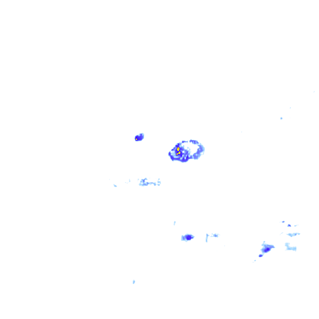 rainLayer