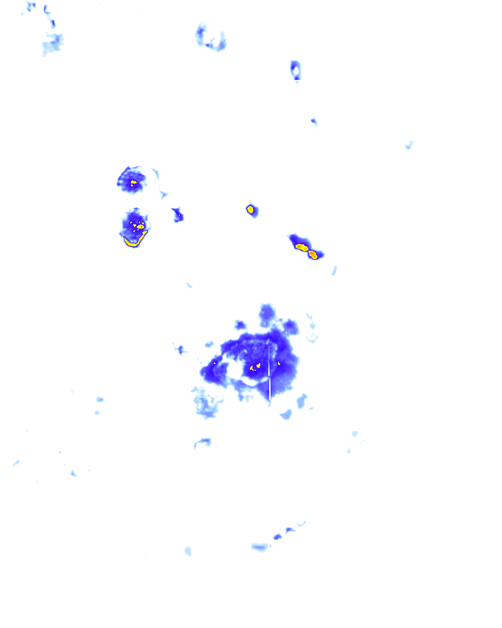 rainLayer