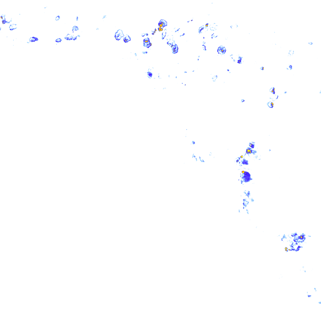 rainLayer