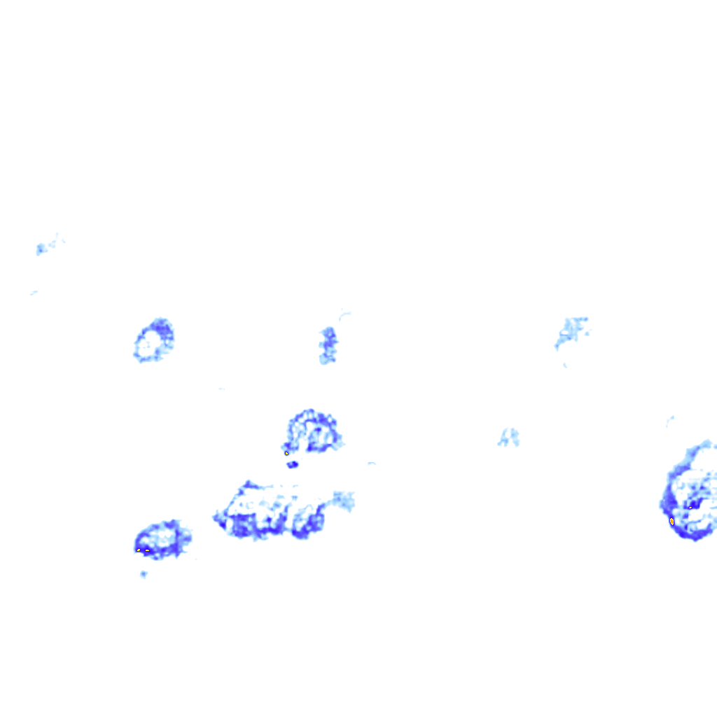rainLayer