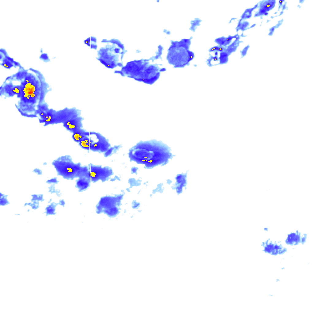rainLayer