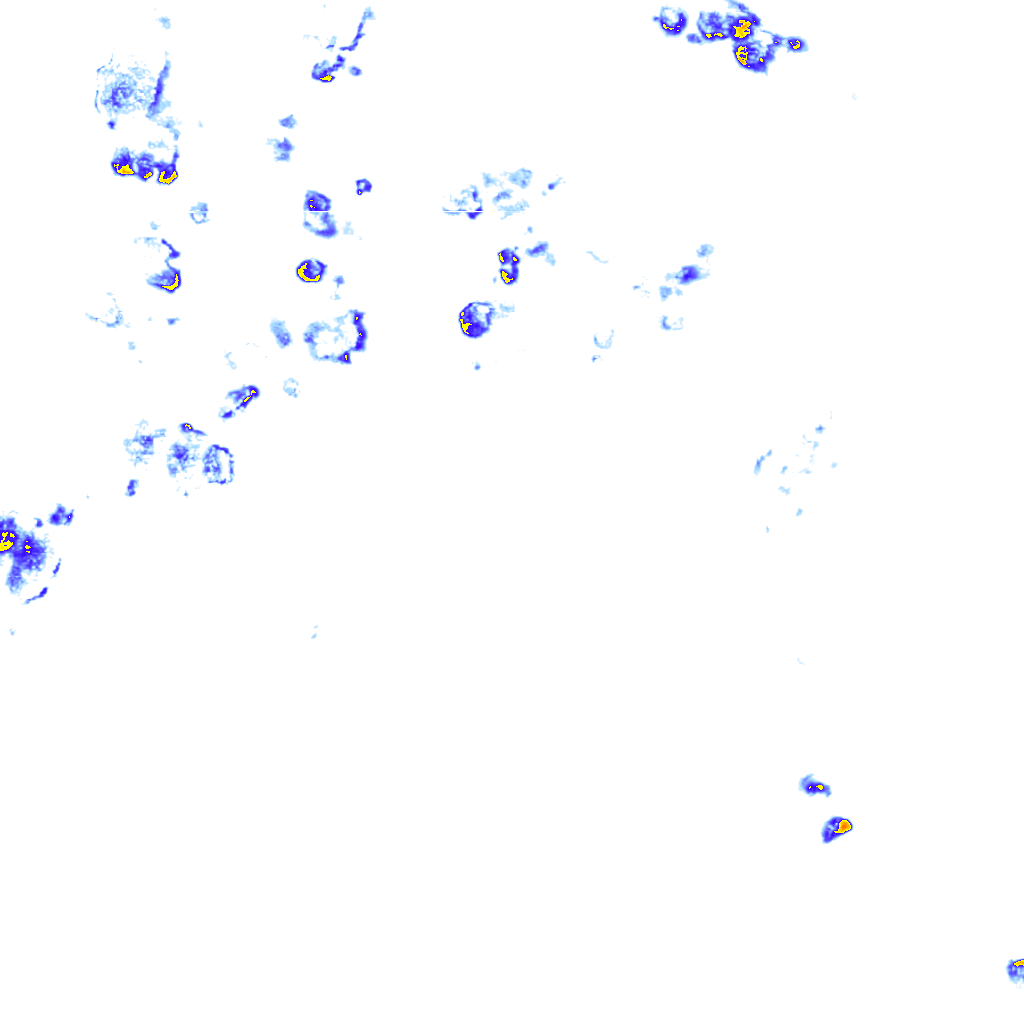 rainLayer