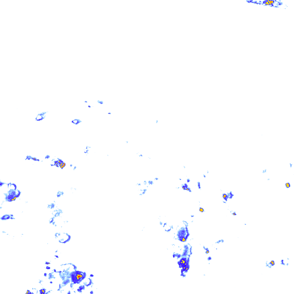 rainLayer
